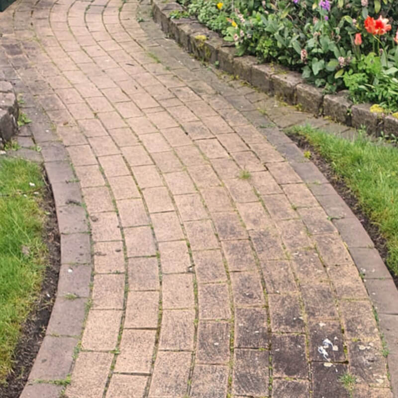 Grün Grau Pflasterreinigung Galerie 2 Vorher