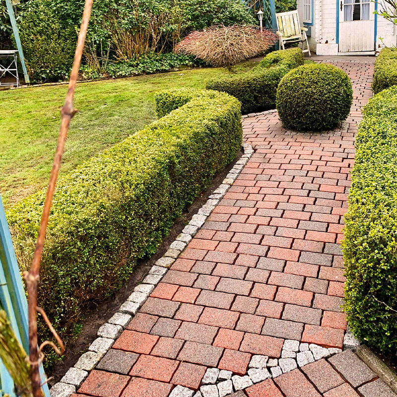 Grün Grau Pflasterreinigung Galerie 2 Nachher