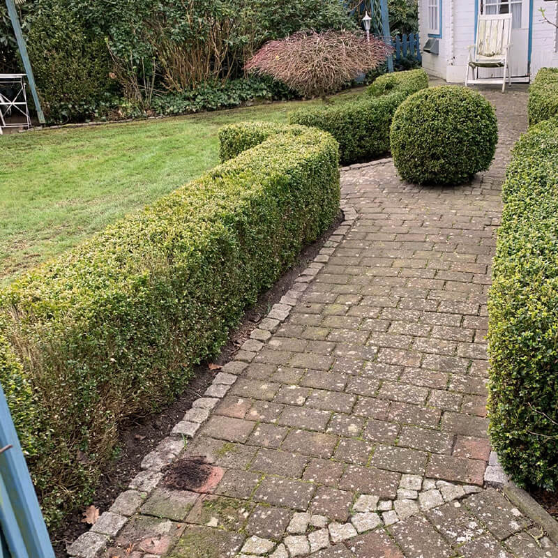 Grün Grau Pflasterreinigung Galerie 3 Vorher