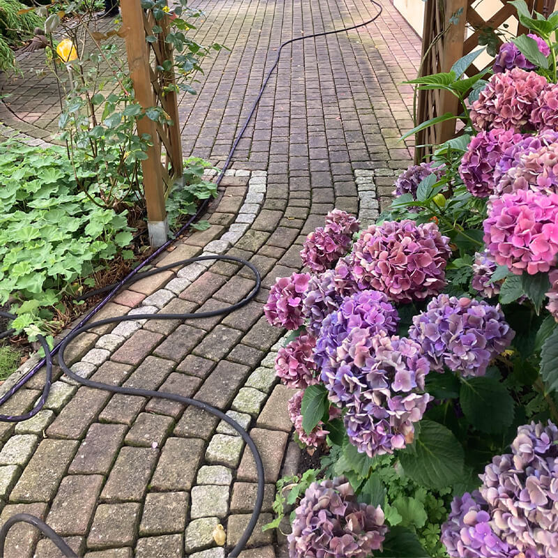 Grün Grau Pflasterreinigung Galerie 7 Vorher